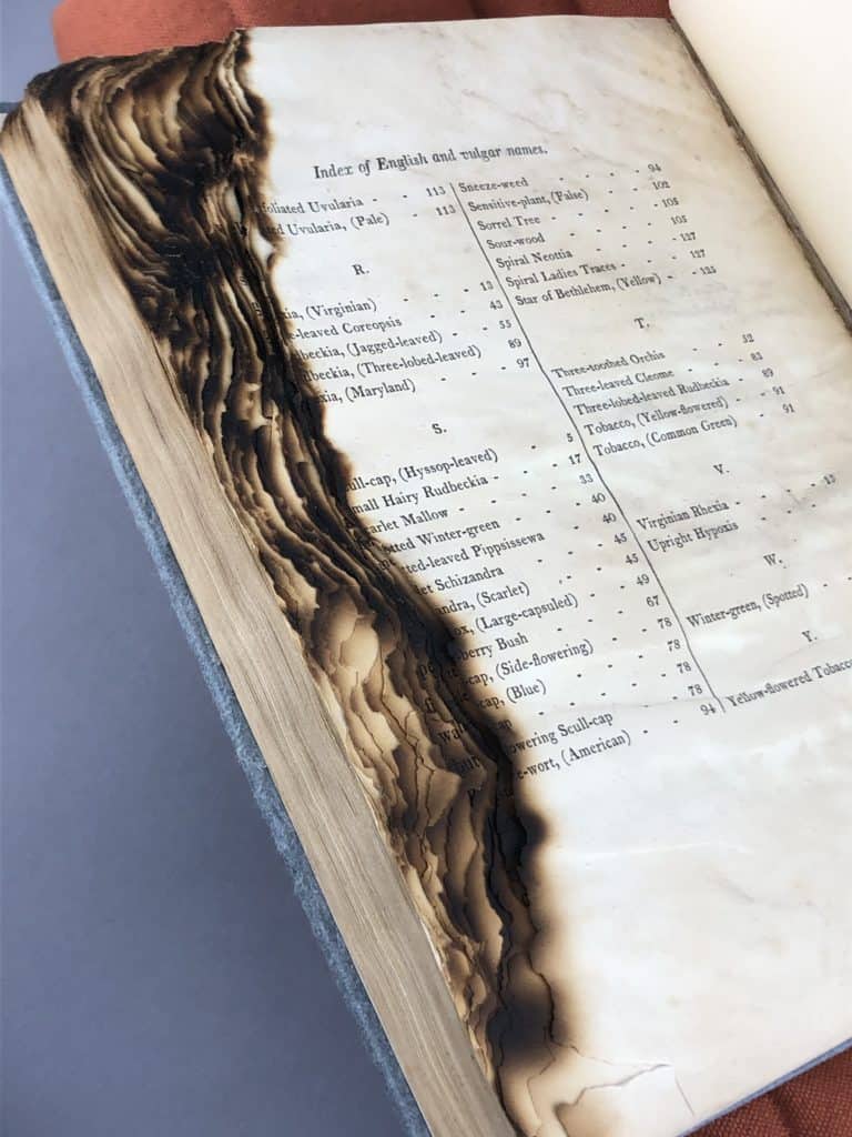 Open index page of "A flora of North America" that slightly obscures the text on the left of the page, but shows the depth of the burn on all the pages beneath.